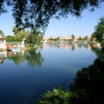 lake in Ventana